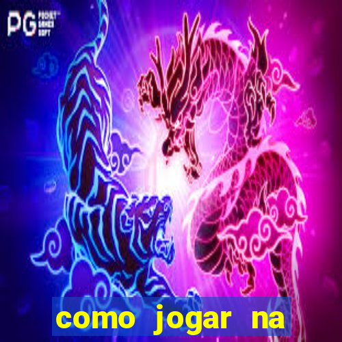 como jogar na lotinha do jogo do bicho